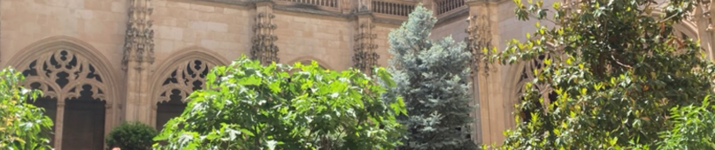 Kloostertuin