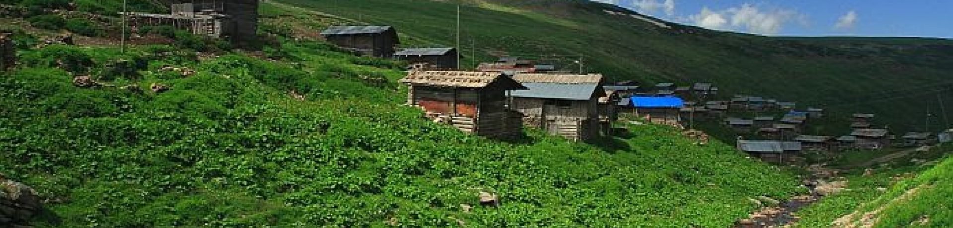 slow food travel