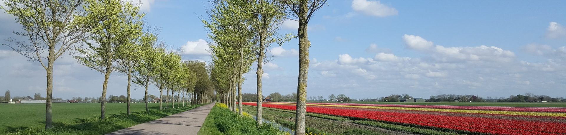 De Beemster
