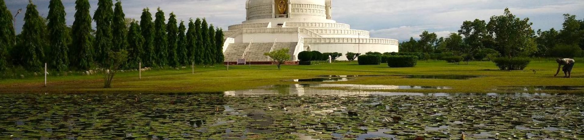 np