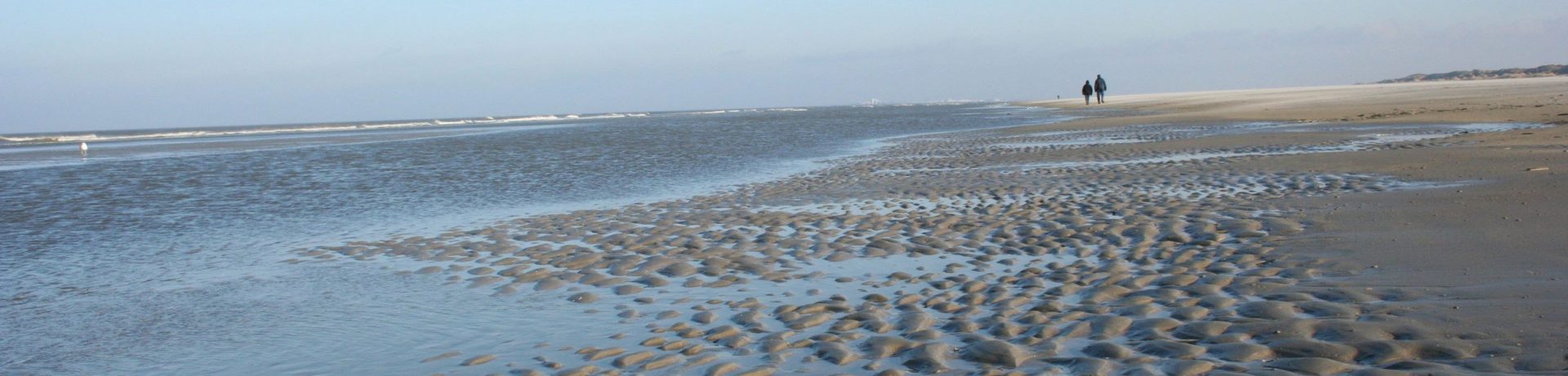 waddenzee