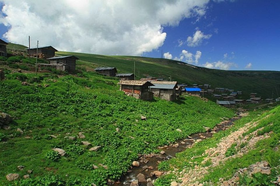 slow food travel