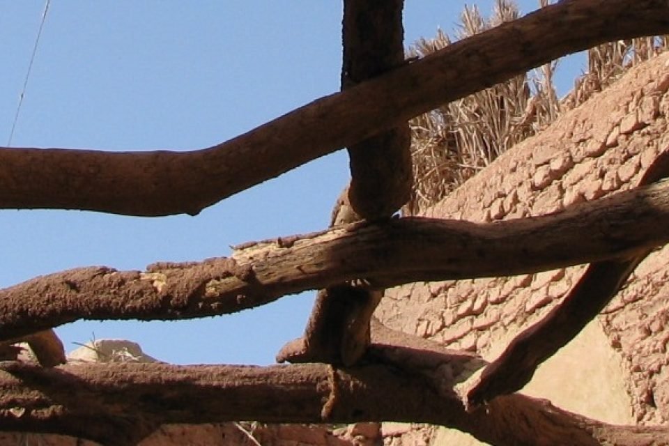 CIAV