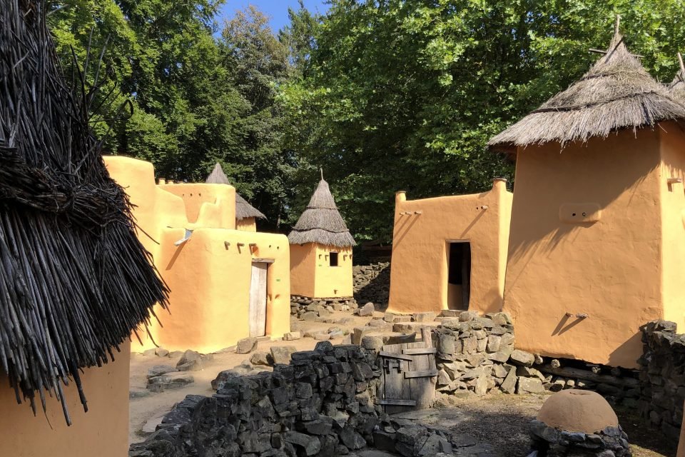 Afrika Museum, David Koren 2011