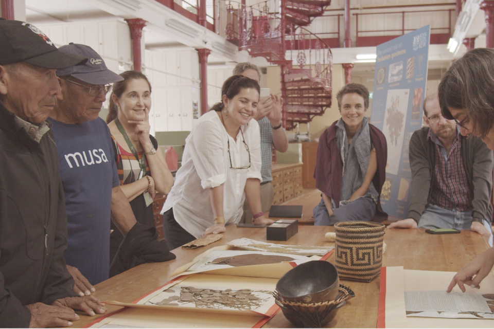 Brazilian Indigenous and non-Indigenous researchers and curators visit the Kew herbarium during a workshop in London in 2019 (photo: Bea Moyes)
