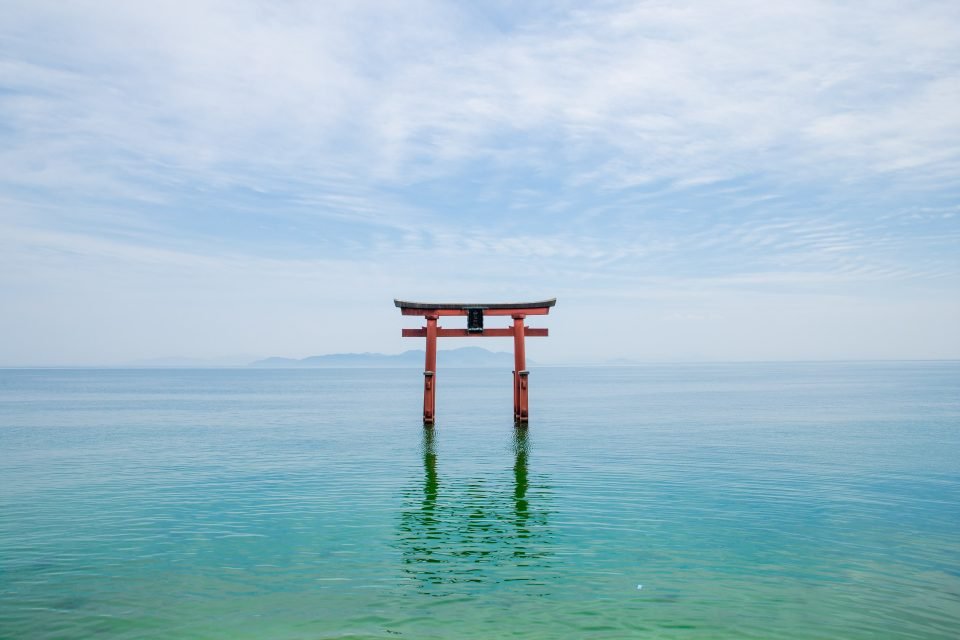 Foto door Ryutaro Tsukata via Pexels
