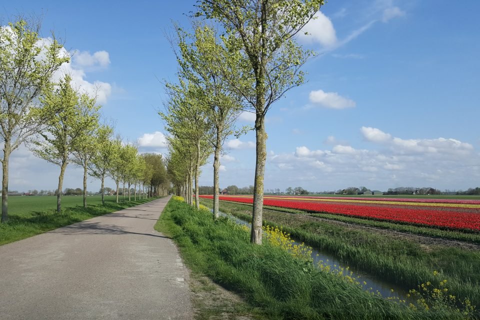 De Beemster