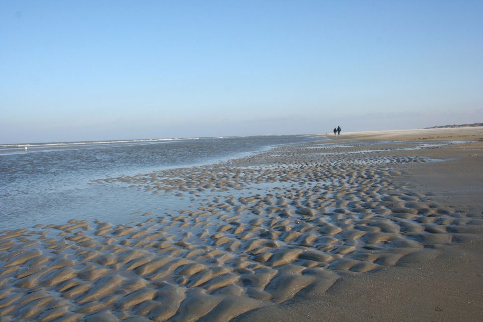 waddenzee