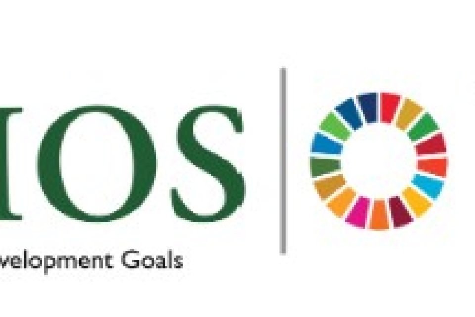 SDGWG logos