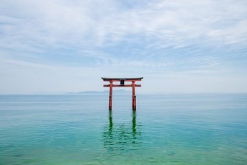 Foto door Ryutaro Tsukata via Pexels