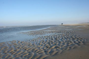 waddenzee